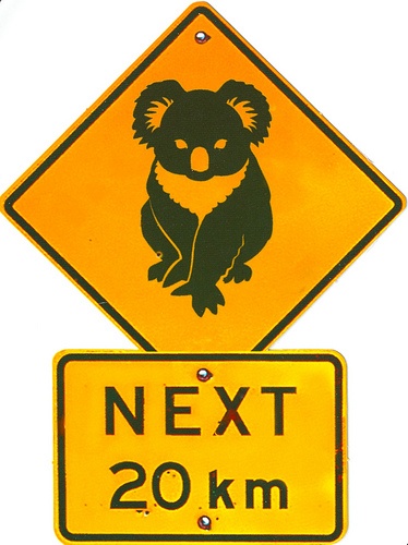 Detail Australia Road Signs Animals Nomer 5