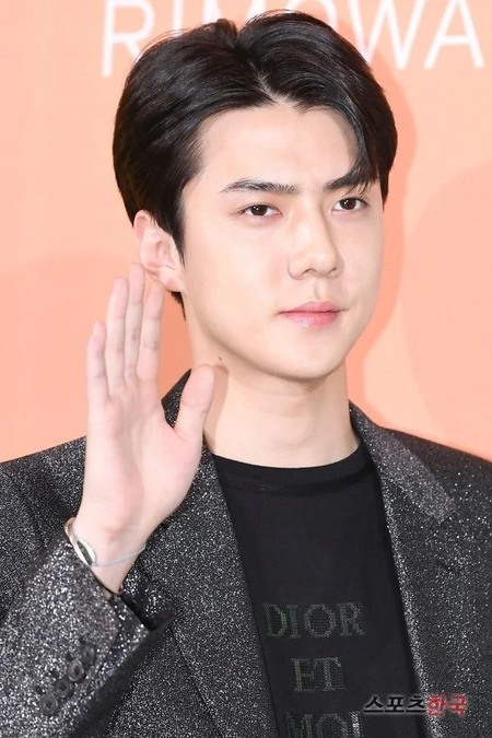 Detail Foto Terbaru Sehun Nomer 19