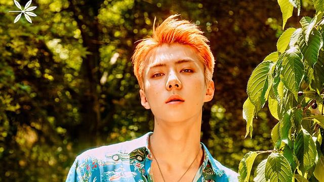 Detail Foto Terbaru Sehun Nomer 41