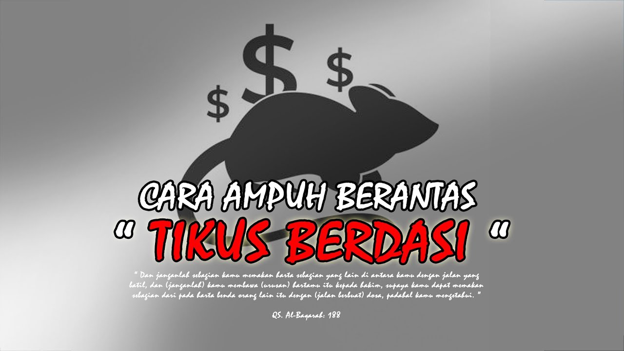 Detail Foto Tikus Berdasi Nomer 46