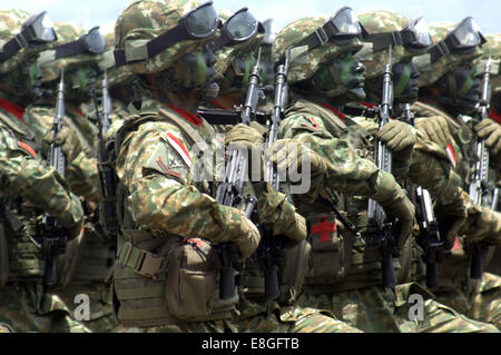 Detail Foto Tni Keren Nomer 53