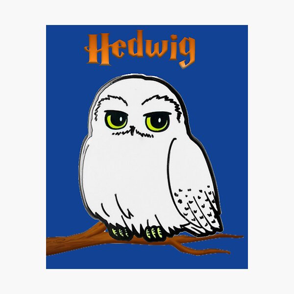 Detail Hedwig Die Eule Nomer 6