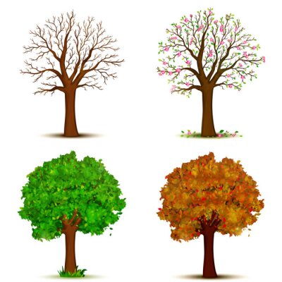 Detail Vier Jahreszeiten Baum Zeichnung Nomer 10