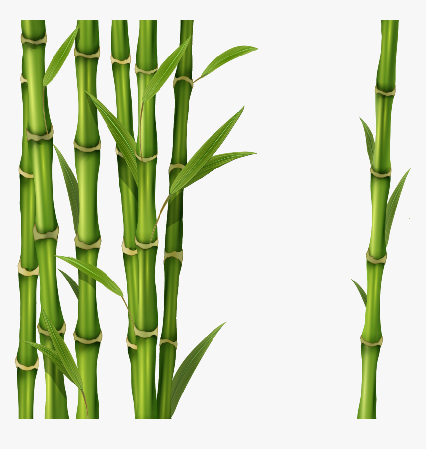 Detail Bambus Png Nomer 14