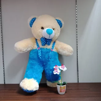 Detail Boneka Teddy Bear Warna Biru Nomer 56