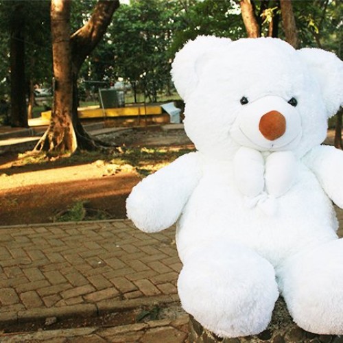 Boneka Teddy Bear Warna Putih Besar - KibrisPDR