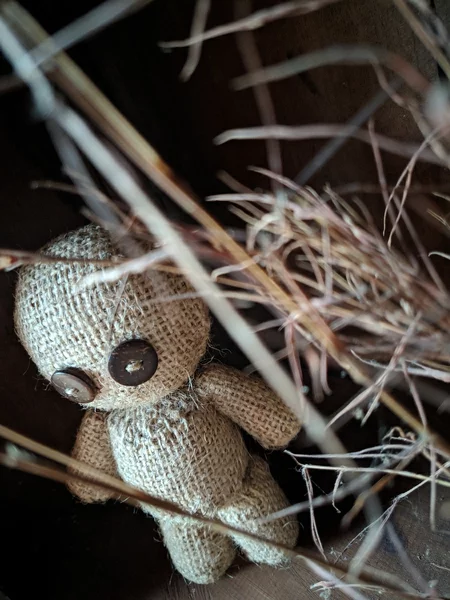 Detail Boneka Voodoo Lucu Nomer 16