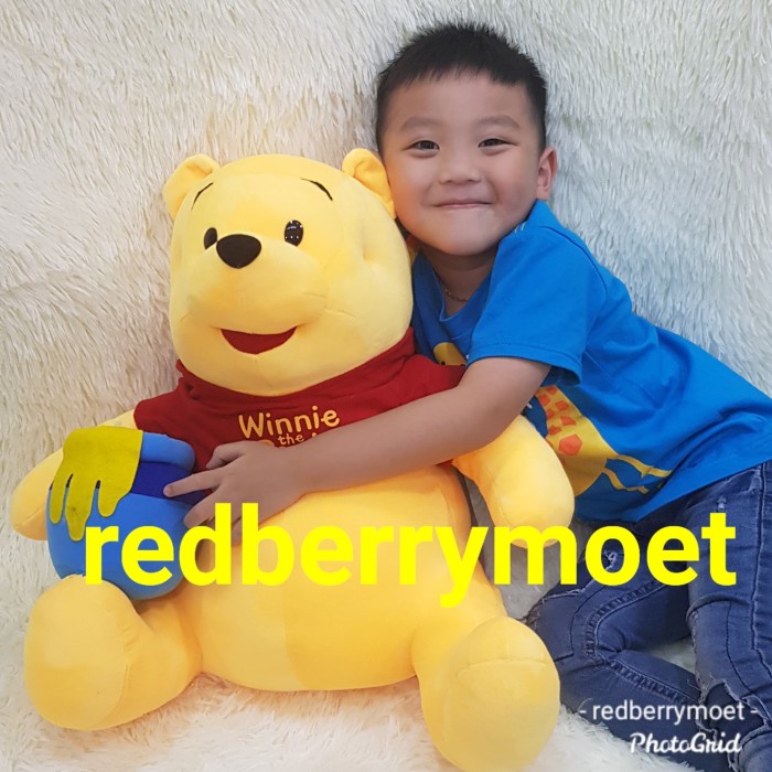 Detail Boneka Winnie The Pooh Besar Nomer 40