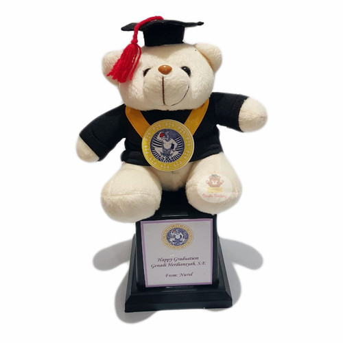 Detail Boneka Wisuda Bandung Nomer 14