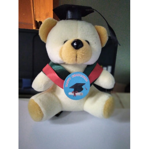 Detail Boneka Wisuda Bandung Nomer 17