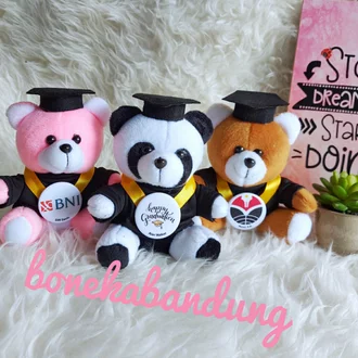 Detail Boneka Wisuda Bandung Nomer 22