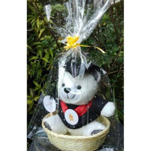 Detail Boneka Wisuda Bandung Nomer 45