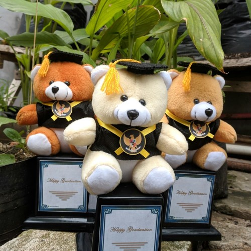 Detail Boneka Wisuda Bandung Nomer 52