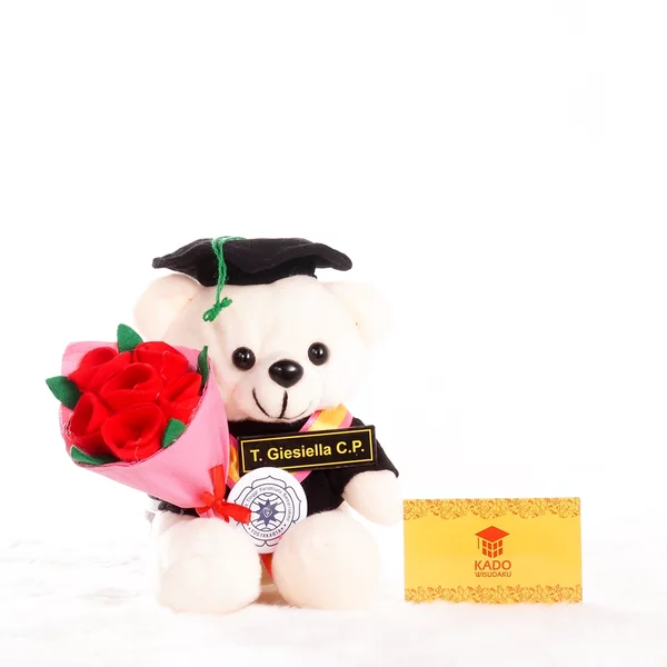 Detail Boneka Wisuda Jogja Nomer 11