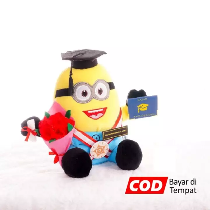 Detail Boneka Wisuda Jogja Nomer 35
