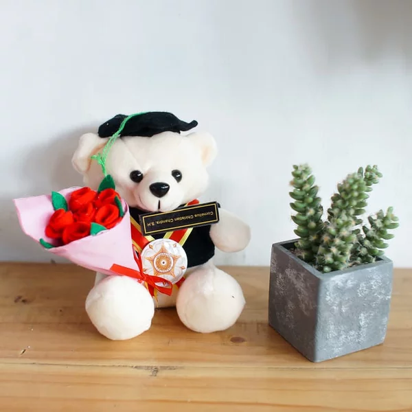 Detail Boneka Wisuda Jogja Nomer 8