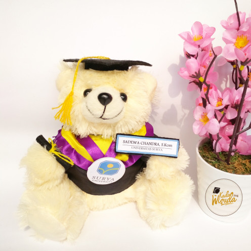 Detail Boneka Wisuda Tangerang Nomer 12