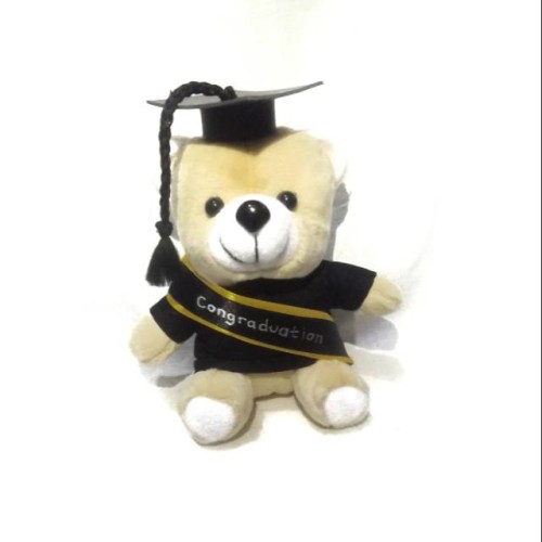 Detail Boneka Wisuda Tangerang Nomer 16