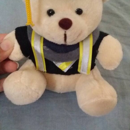 Detail Boneka Wisuda Tangerang Nomer 20