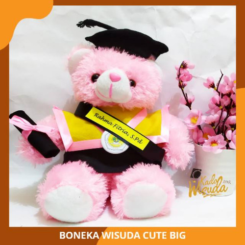 Detail Boneka Wisuda Tangerang Nomer 3