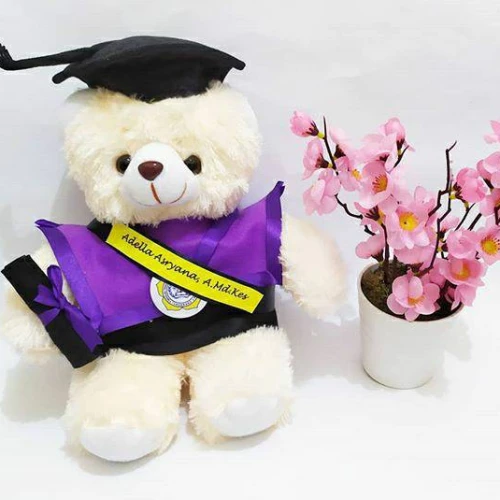 Detail Boneka Wisuda Tangerang Nomer 4