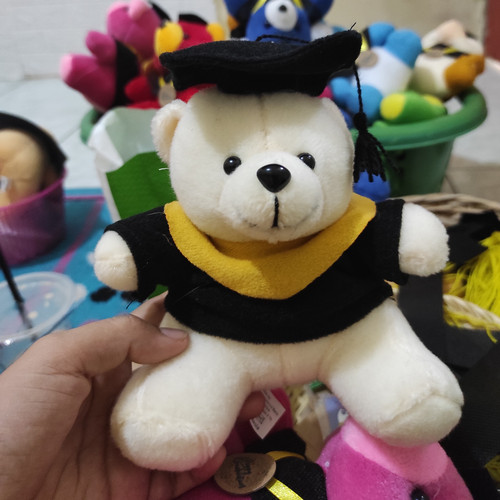 Detail Boneka Wisuda Tangerang Nomer 33