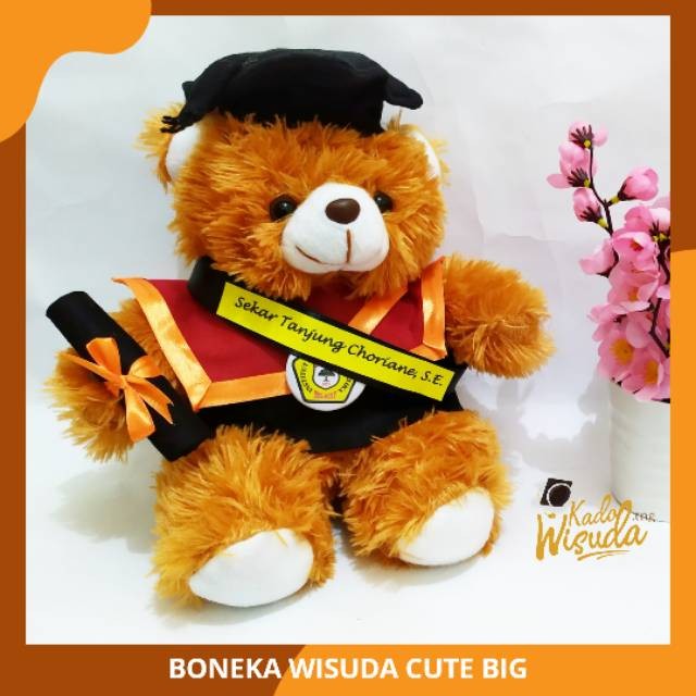 Detail Boneka Wisuda Tangerang Nomer 42