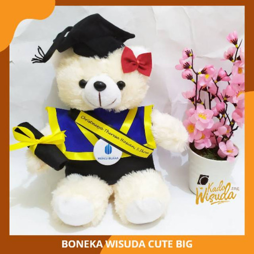 Detail Boneka Wisuda Tangerang Nomer 10