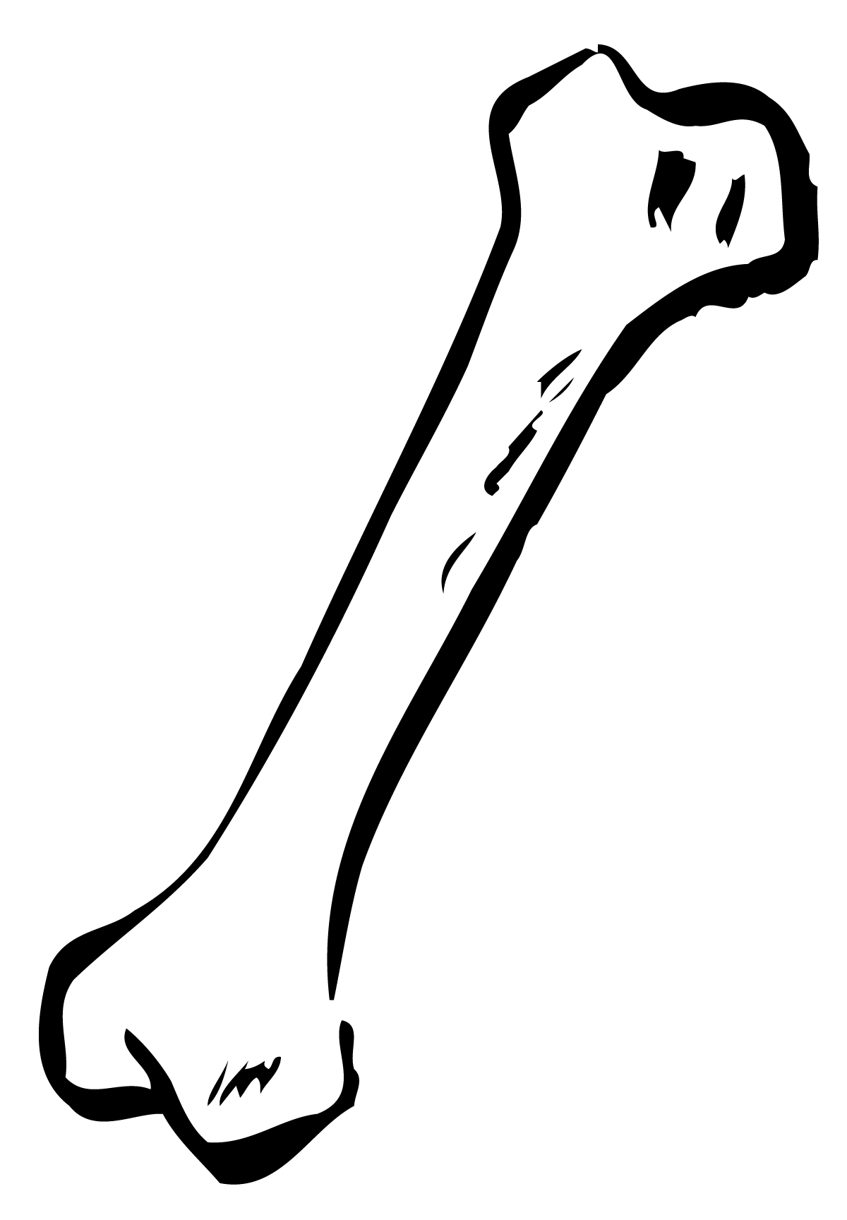 Detail Bones Png Nomer 7