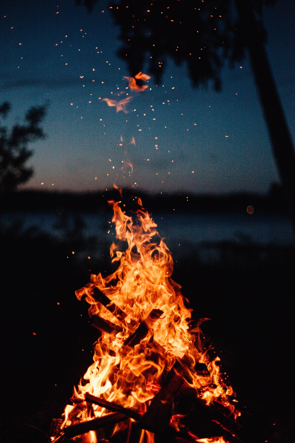 Detail Bonfire Background Nomer 9