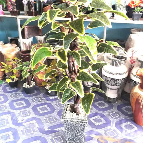 Detail Bonsai Buatan Dari Kayu Nomer 14