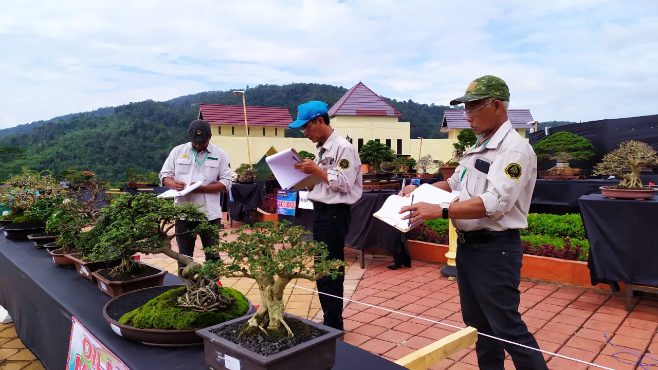 Detail Bonsai Bugenvil Terbaik Nomer 31