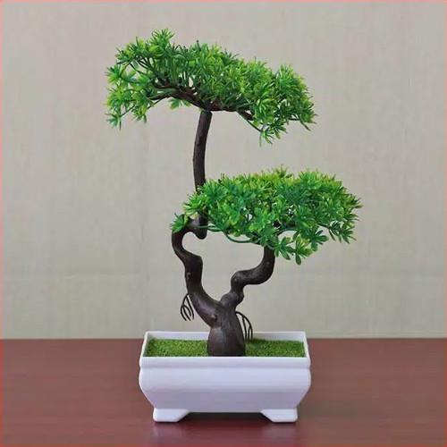 Detail Bonsai Cabang Dua Nomer 2