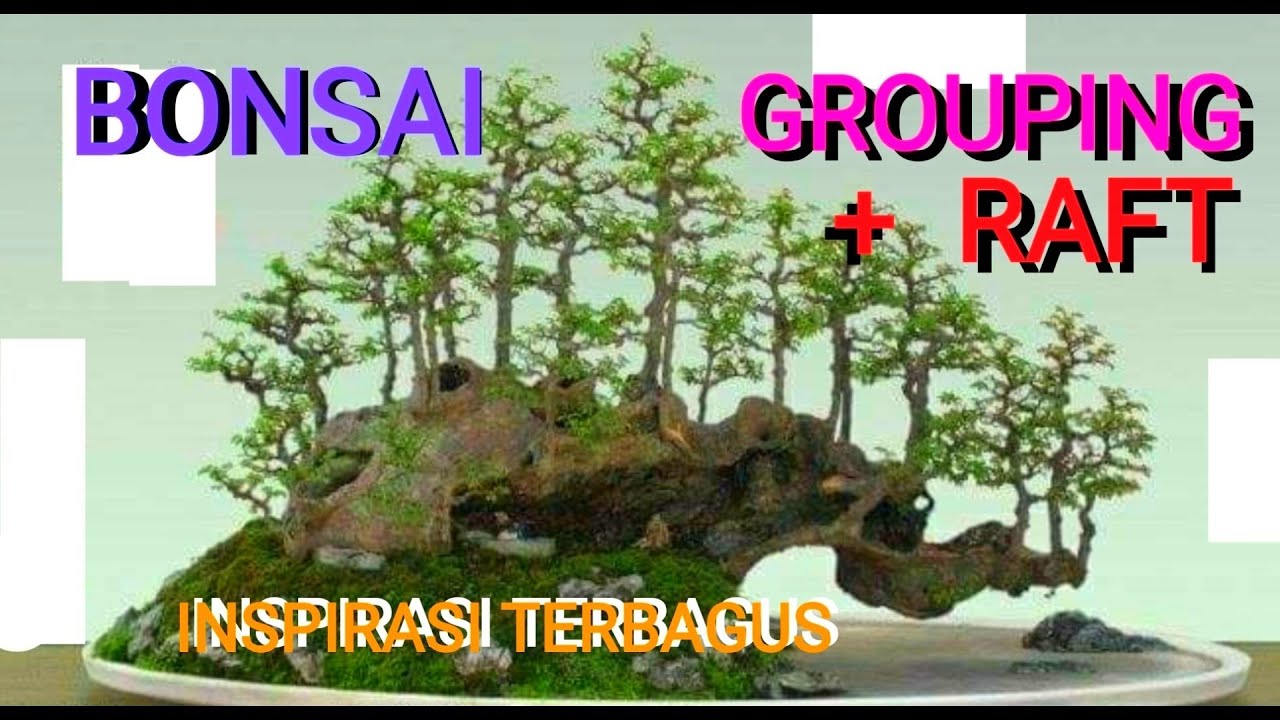 Detail Bonsai Grouping Terbaik Nomer 18