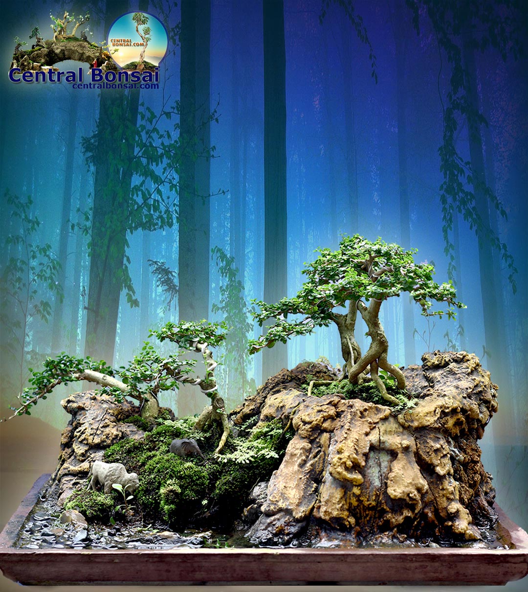 Detail Bonsai Grouping Terbaik Nomer 20