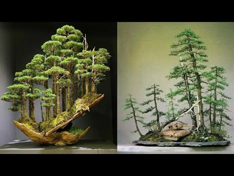 Detail Bonsai Grouping Terbaik Nomer 24