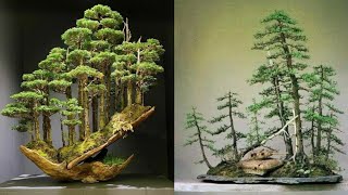 Detail Bonsai Grouping Terbaik Nomer 27