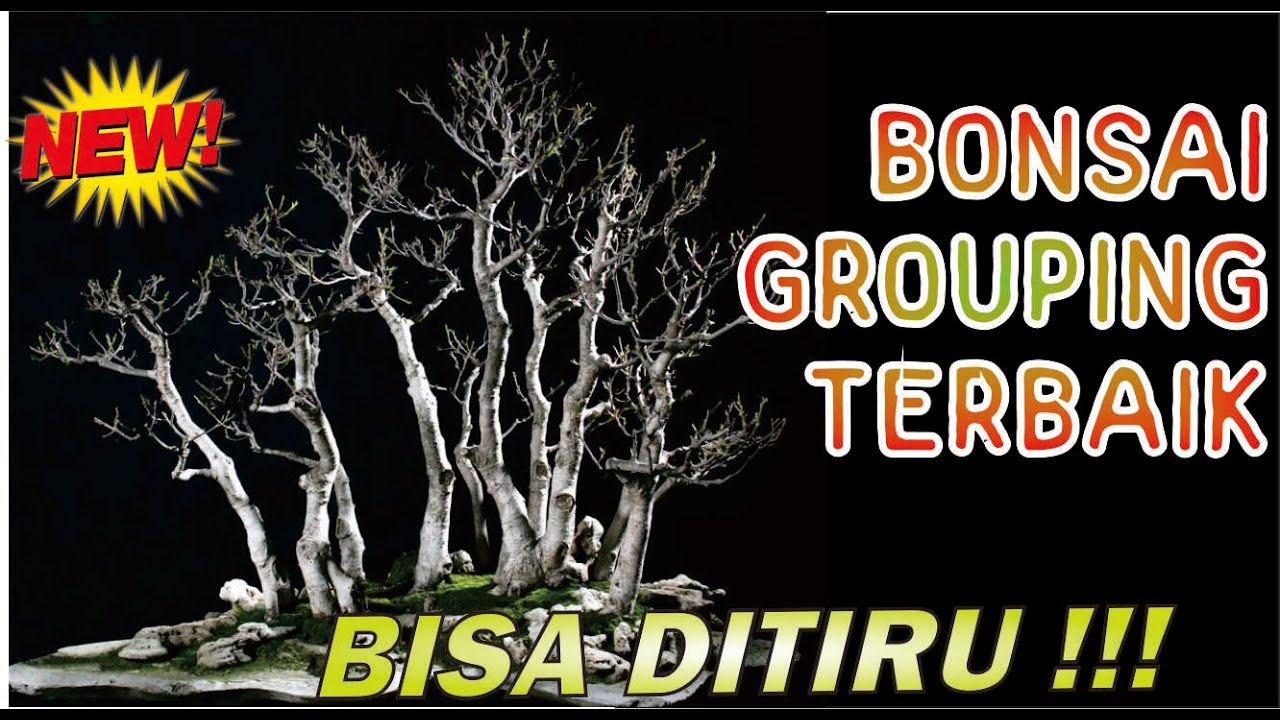 Detail Bonsai Grouping Terbaik Nomer 40