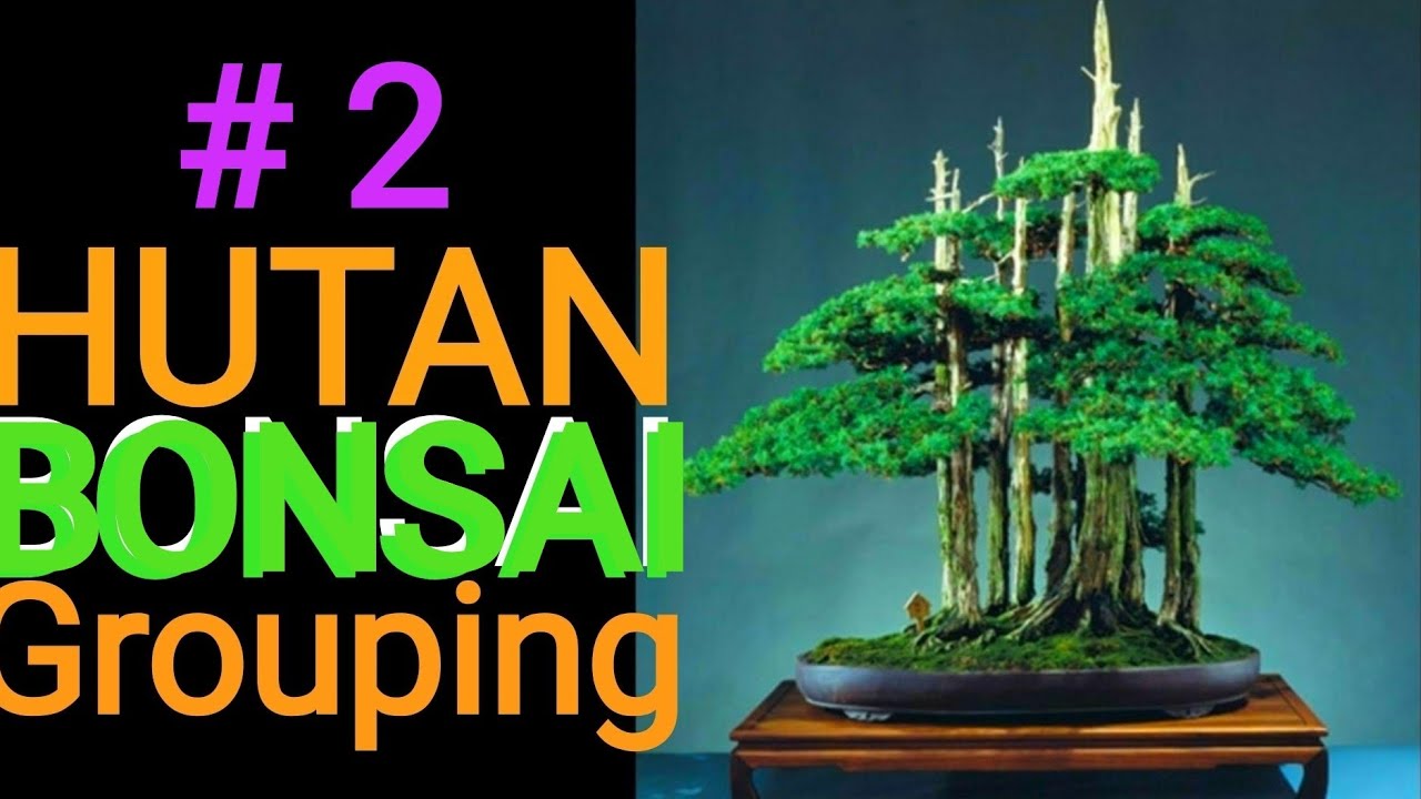 Detail Bonsai Hutan Mini Nomer 16