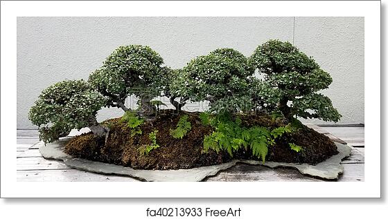 Detail Bonsai Hutan Mini Nomer 33