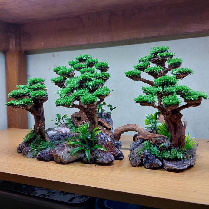 Detail Bonsai Hutan Mini Nomer 56