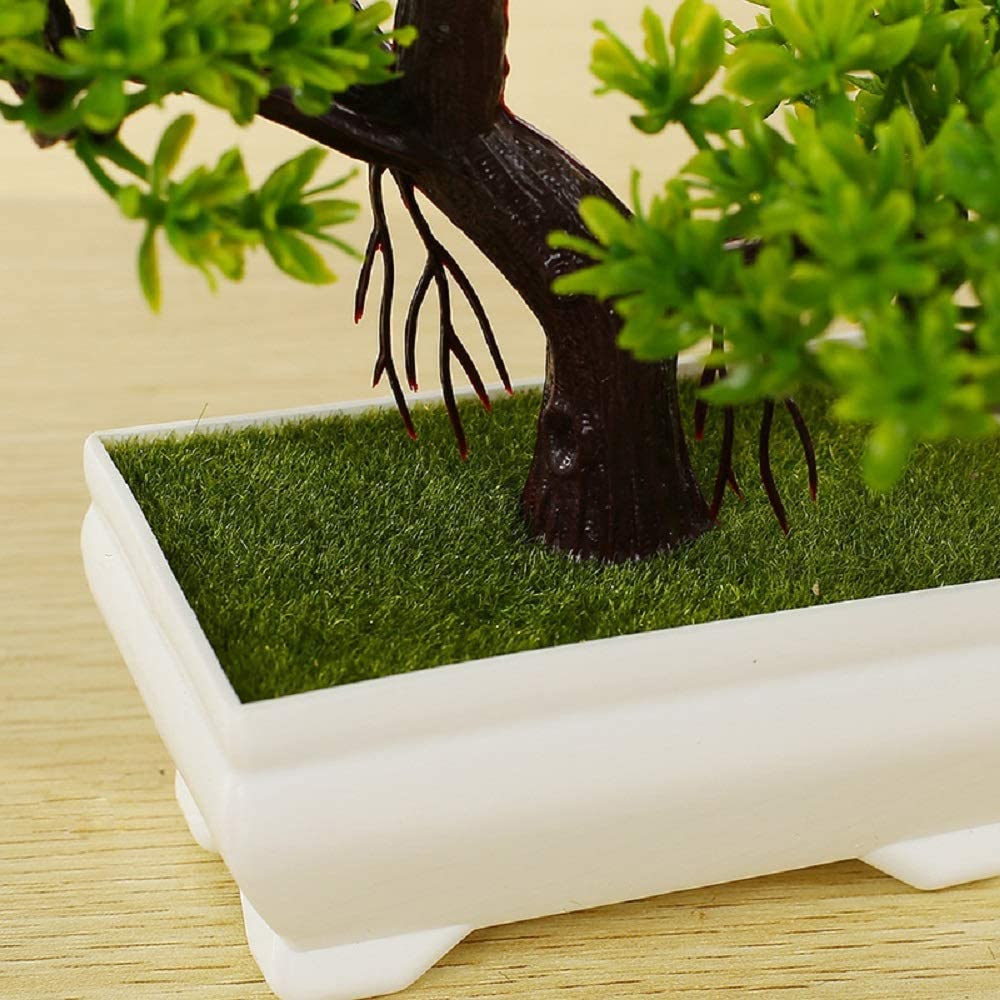 Detail Bonsai Hutan Mini Nomer 57