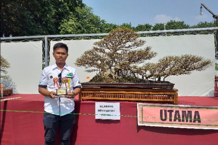 Detail Bonsai Juara Kontes Dunia Nomer 39