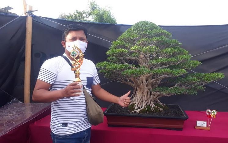 Detail Bonsai Juara Kontes Dunia Nomer 40