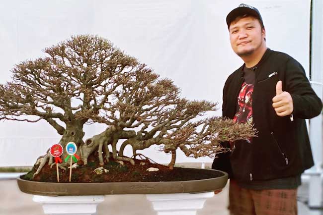 Detail Bonsai Kemuning Juara Nomer 20