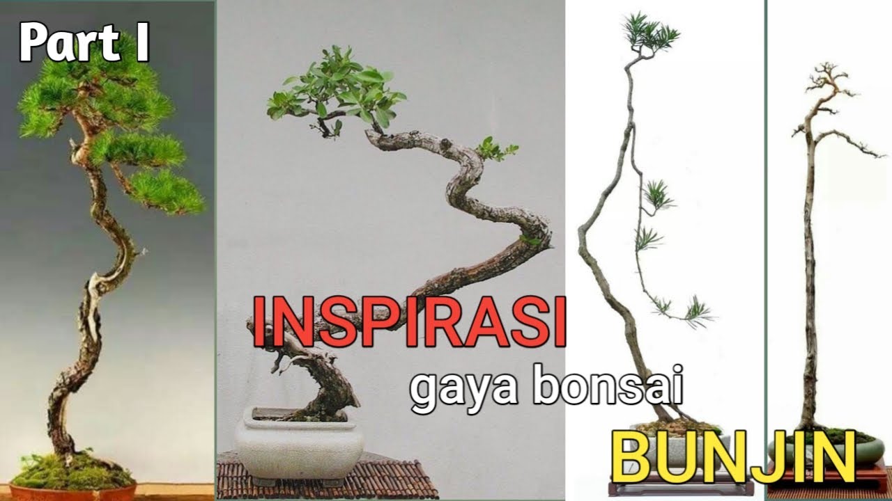 Detail Bonsai Model Bunjin Nomer 25