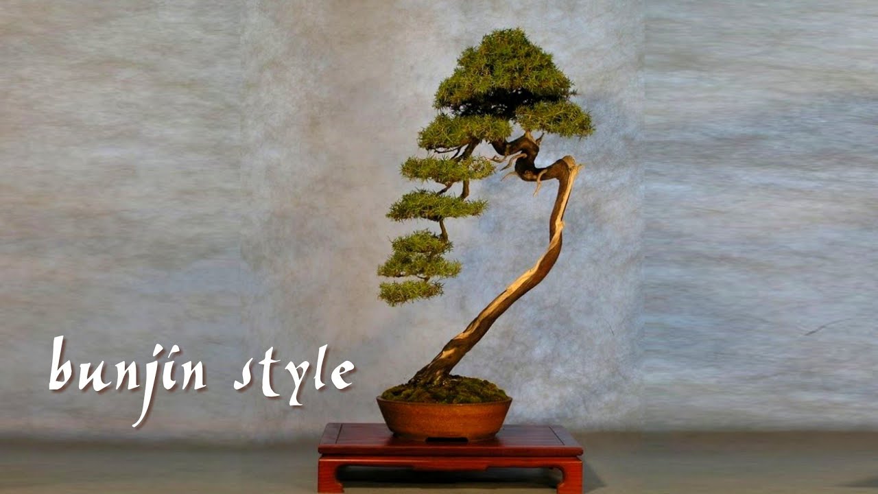 Detail Bonsai Model Bunjin Nomer 4