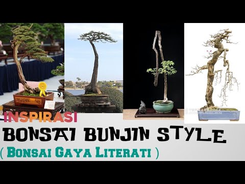 Detail Bonsai Model Bunjin Nomer 40