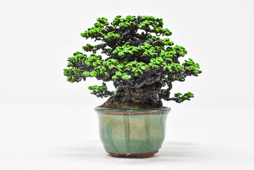 Detail Bonsai Model Miring Nomer 17