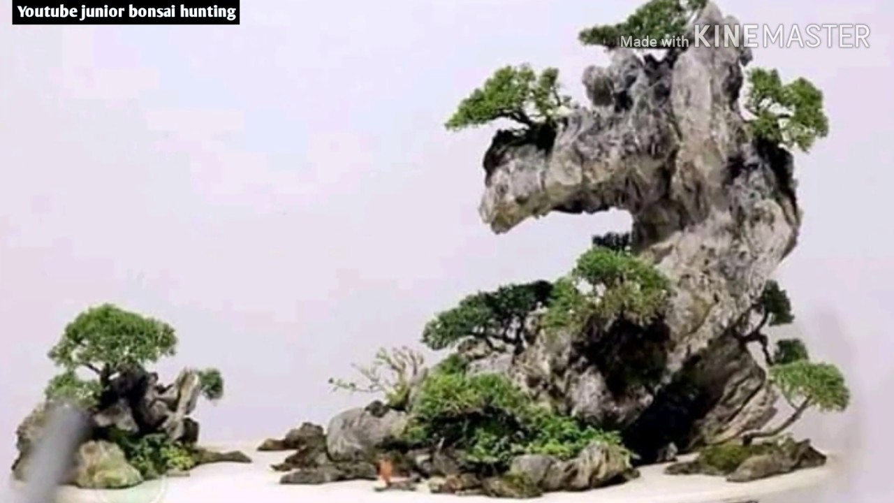 Detail Bonsai Penjing Jepang Nomer 11